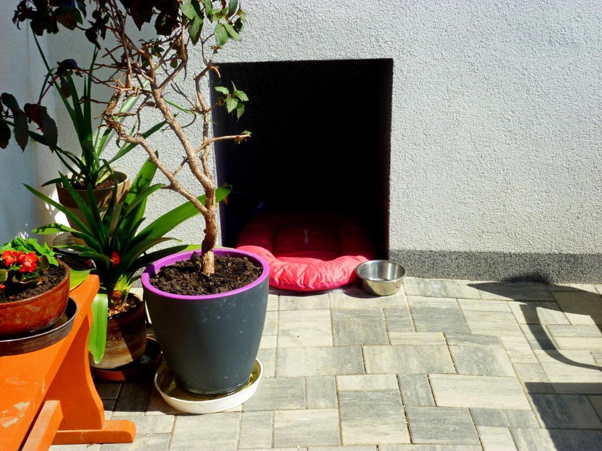 Aradise Apartament Turnov